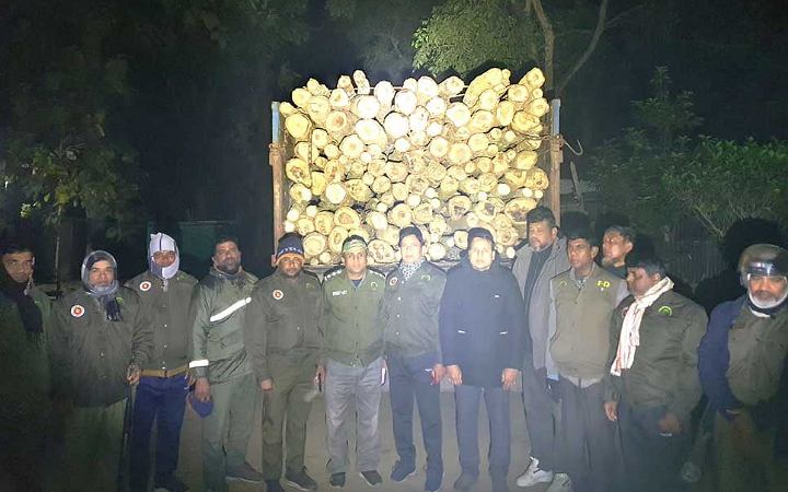 টাঙ্গাইলে পাচারের সময় ট্রাকসহ শাল গজারি গাছ জব্দ