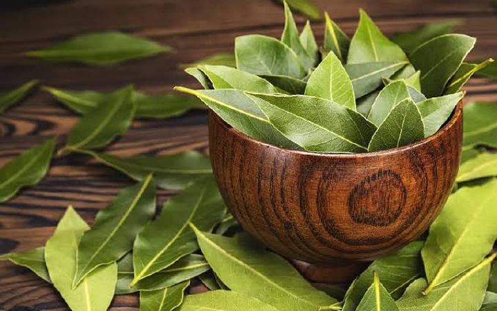 জেনে নিন : তেজ পাতার স্বাস্থ্য উপকারিতা