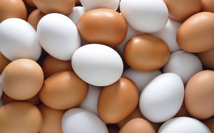 ডিম ভালো নাকি খারাপ চেনার উপায়