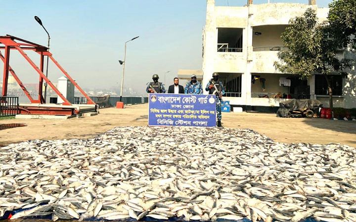 নারায়ণগঞ্জে সাড়ে ৩ টন অবৈধ জাটকা জব্দ