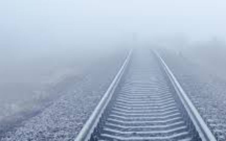 ঘনকুয়াশায় ঢাকা পড়েছে দিল্লি, শতাধিক ফ্লাইট বিলম্বিত