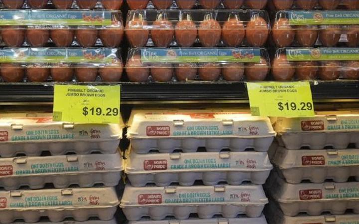 তুরস্ক ও দক্ষিণ কোরিয়া থেকে ডিম আমদানি করছে যুক্তরাষ্ট্র