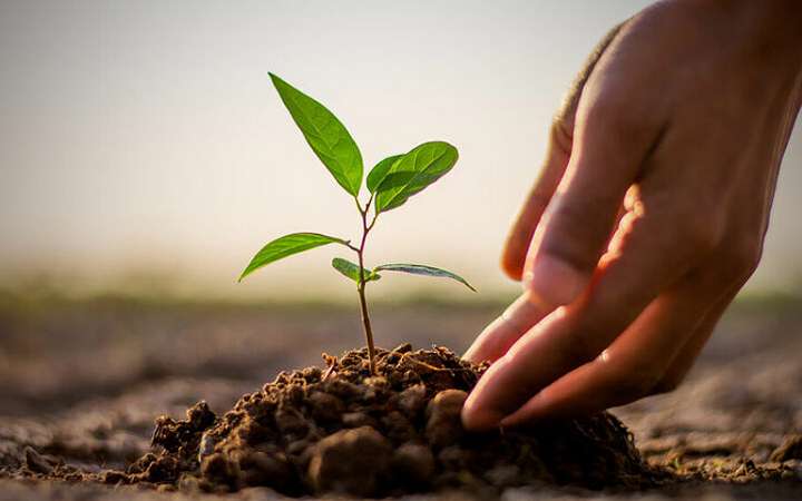 বৃক্ষরোপণে অফুরন্ত সওয়াব