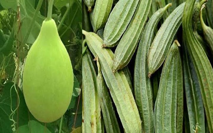 গরমে পেটের সমস্যা দূর করে যে সকল সবজি