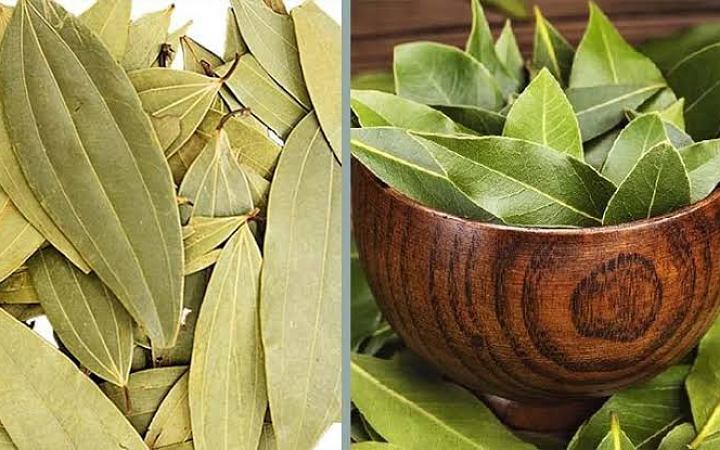 জেনে নিন তেজ পাতার স্বাস্থ্য উপকারিতা