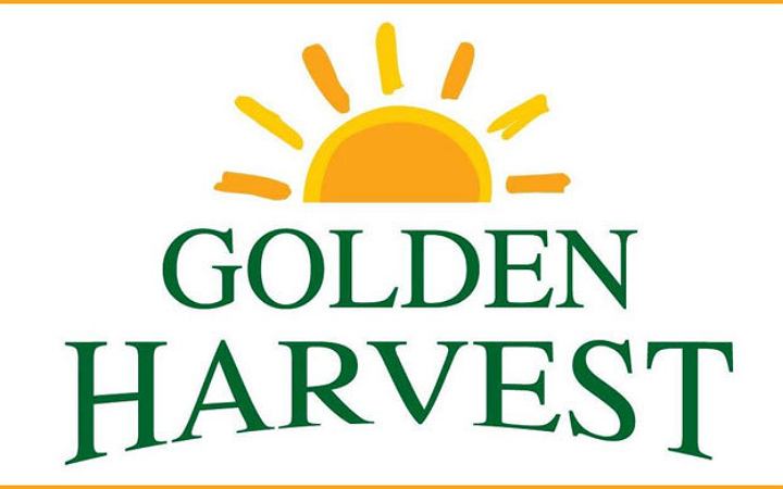 স্নাতক পাসে নিয়োগ দেবে গোল্ডেন হারভেস্ট