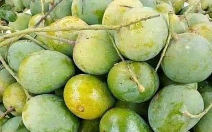 জেনে নিন কেমিক্যালমুক্ত আম চেনার উপায়