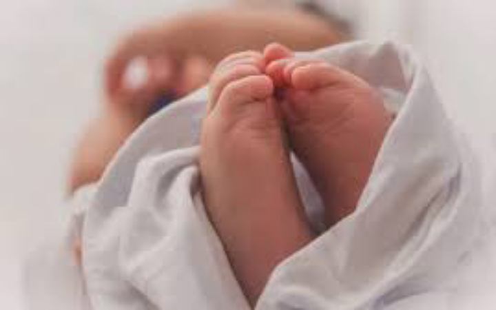 বোচাগঞ্জে লিচুর বিচি আটকে শিশুর মৃত্যু
