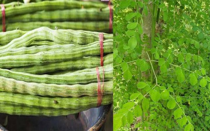 জানেন কী যে ৭ খাবারে আছে দুধের চেয়ে বেশি ক্যালসিয়াম