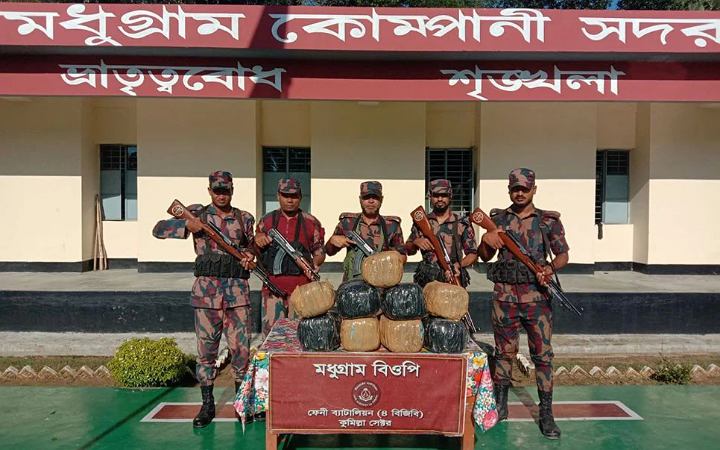 ফেনী সীমান্তে বিপুল পরিমাণ ভারতীয় গাঁজা এ গরু জব্দ করেছে বিজিবি
