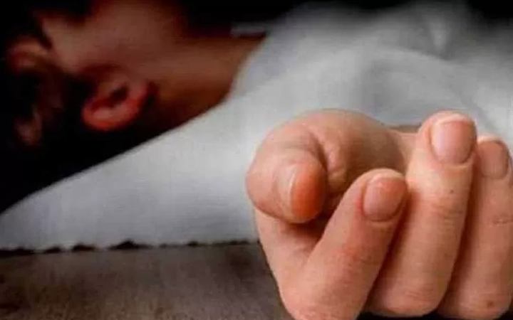 ঝিনাইদহে সাপের কামড়ে প্রাণ গেল শিশুর