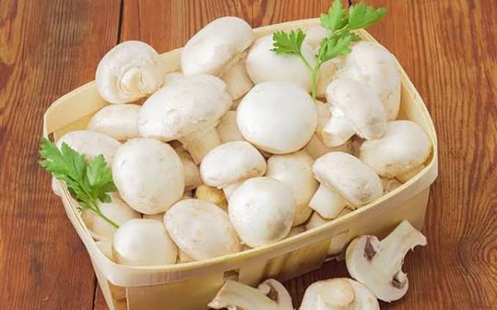 জানেন কী মাশরুম পরিষ্কারের উপায়