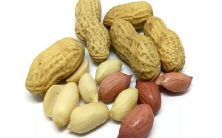জেনে নিন চিনাবাদামের পুষ্টি উপকারিতা