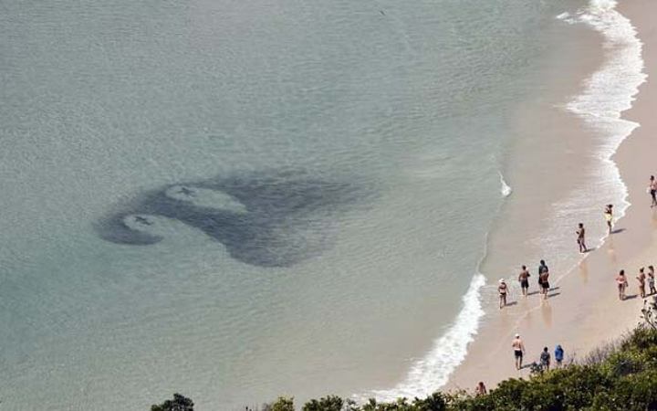 অস্ট্রেলিয়ার সমুদ্র সৈকতে বিরল দৃশ্যের ভিডিও ভাইরাল