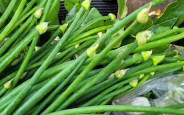 পেঁয়াজকলির নানা রকম উপকারিতা