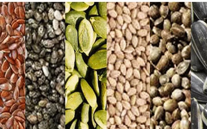 জেনে নিন গর্ভাবস্থার প্রথম তিন মাসে যে বীজগুলো খাওয়া উপকারী