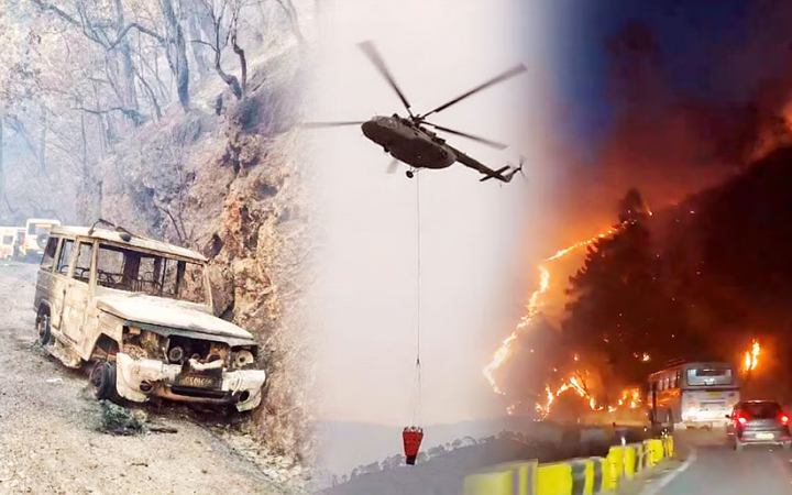 দাবানলে পুড়ছে ভারতের উত্তরাখণ্ডের হিমালয়ের পার্বত্য বনাঞ্চল