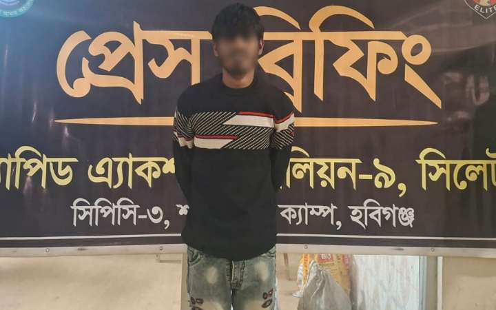 হবিগঞ্জের মাধবপুরে র‍্যাবের অভিযানে ৩০ কেজি গাঁজাসহ গ্রেফতার ১