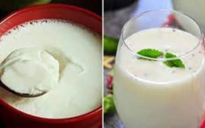 জেনে নিন দই নাকি ঘোল কোনটা বেশি উপকারী