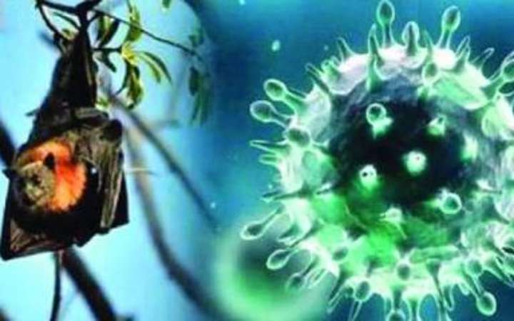 নতুন ভাইরাস নিয়ে আঁতকে ওঠার মত তথ্য দিলেন বিজ্ঞানীরা