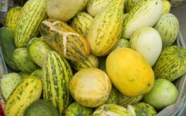 জেনে নিন বাঙ্গি খাওয়ার উপকারিতা