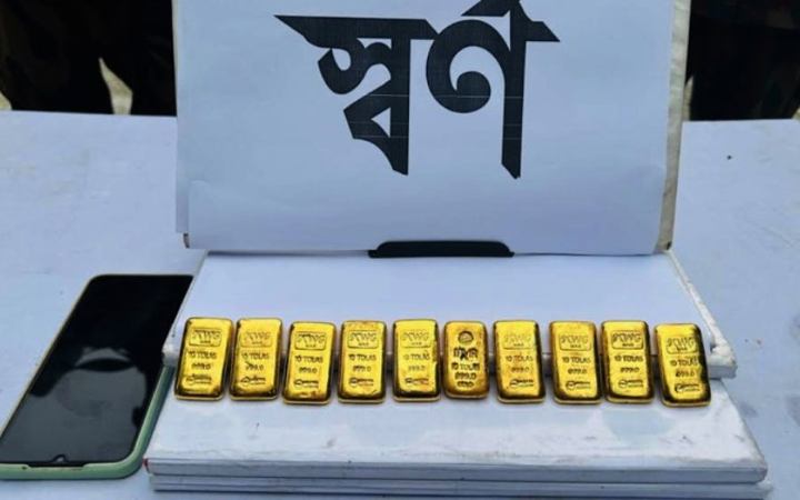 দর্শনা সীমান্ত থেকে ১০ টি সোনার বারসহ আটক ১