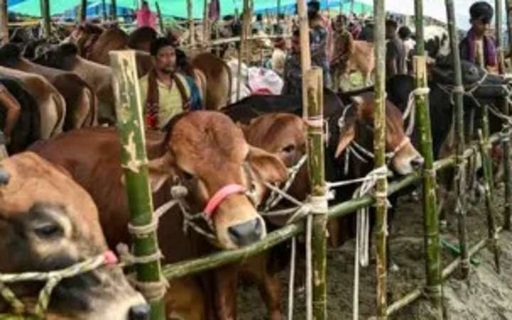 হালাল প্রাণীর যে অংশগুলো খাওয়া নিষেধ