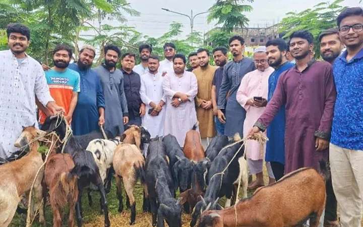 নারায়ণগঞ্জে ২৪ পরিবারের মাঝে কোরবানির পশু উপহার দিলো এনসিপি