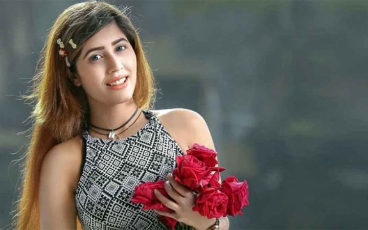 রাস্তায় হেনস্তার শিকার নায়লা নাঈম