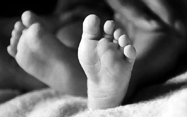 মাদারগঞ্জে সাপের কামড়ে শিশুর মৃত্যু