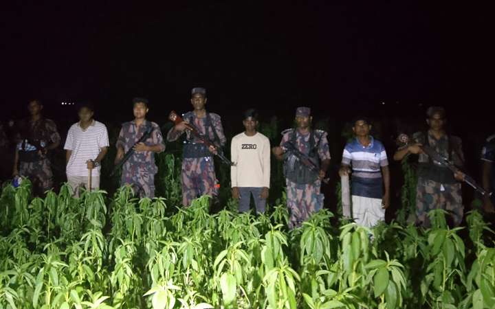 বিএসএফ একাধিক পুশ ইনে ব্যর্থ, কঠোর পাহাড়ায় বিজিবি ও গ্রামবাসী