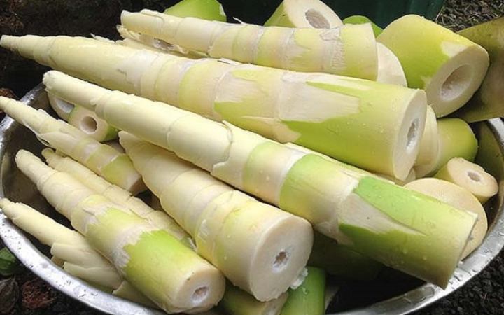 জেনে নিন নিয়মিত কচি বাঁশ খাওয়ার উপকারিতা
