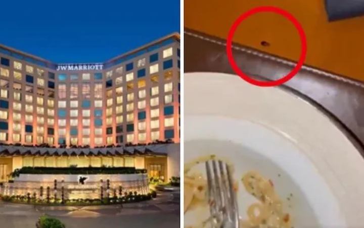 ভারতে পাঁচ তারকা হোটেলে খাবারের টেবিলে তেলাপোকা