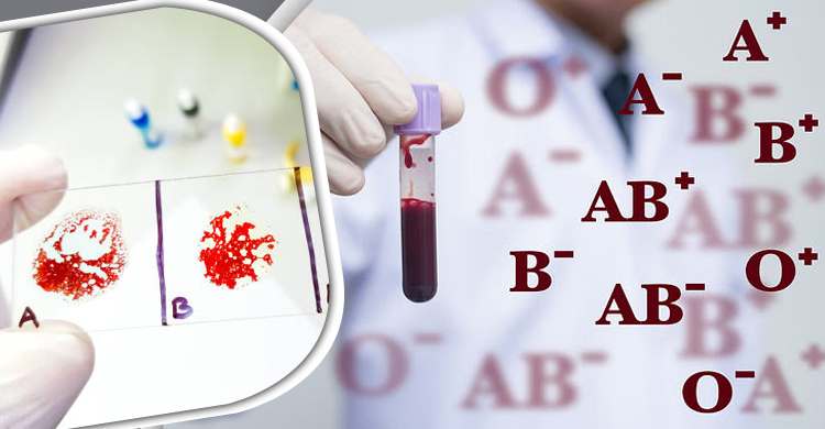 ব্লাড গ্রুপই বলে দেবে কোনো রোগের ঝুঁকি আছে কি না?