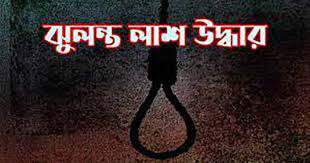 নাঙ্গলকোটে বৃদ্ধের ঝুলন্ত লাশ উদ্ধার
