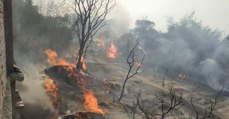 ‘দেড়কোটি টাকার’ পাটকাঠি পুড়ে ছাই