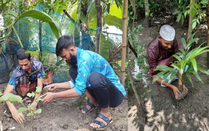 পরিবেশ দিবসে ইবি ছাত্র আন্দোলনের বৃক্ষরোপণ কর্মসূচি