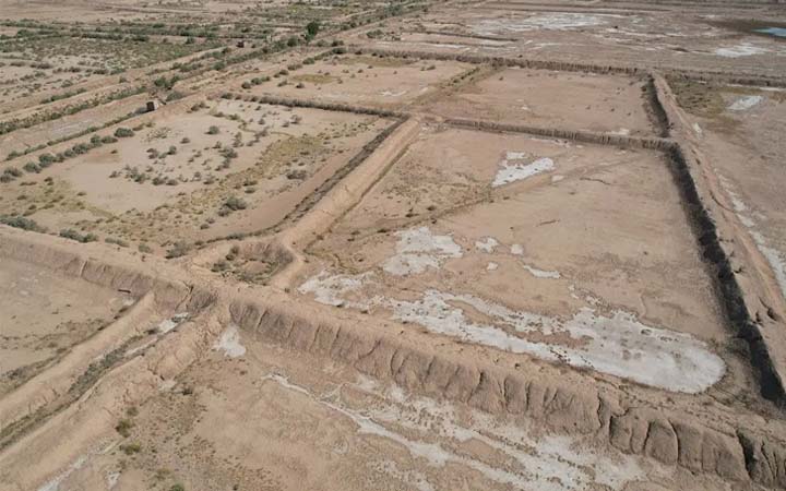ভয়াবহ খরায় পুড়ছে জিম্বাবুয়ে, জাতীয় দুর্যোগ ঘোষণা