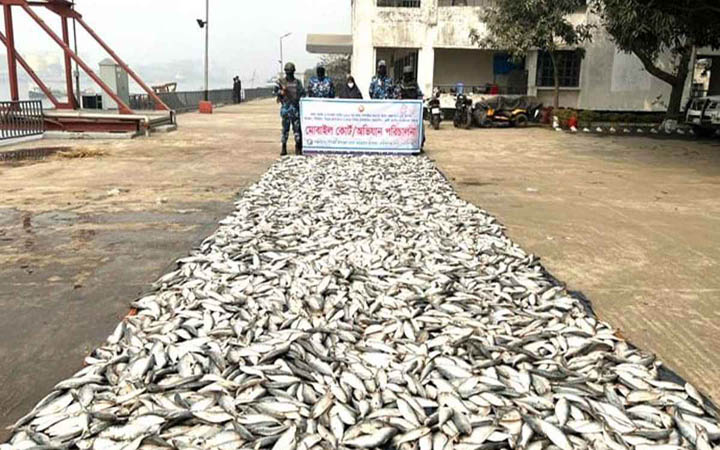 নারায়ণগঞ্জে ৪,৮৫০ কেজি অবৈধ জাটকা জব্দ