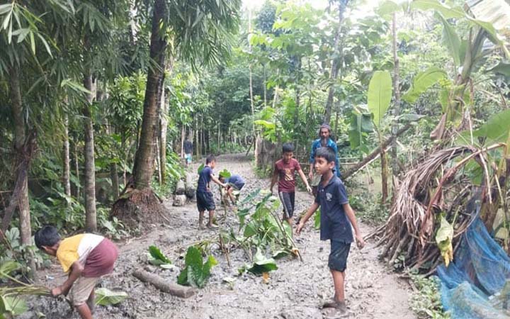 ঝালকাঠিতে কর্দমাক্ত রাস্তায় কচুগাছ লাগিয়ে প্রতিবাদ