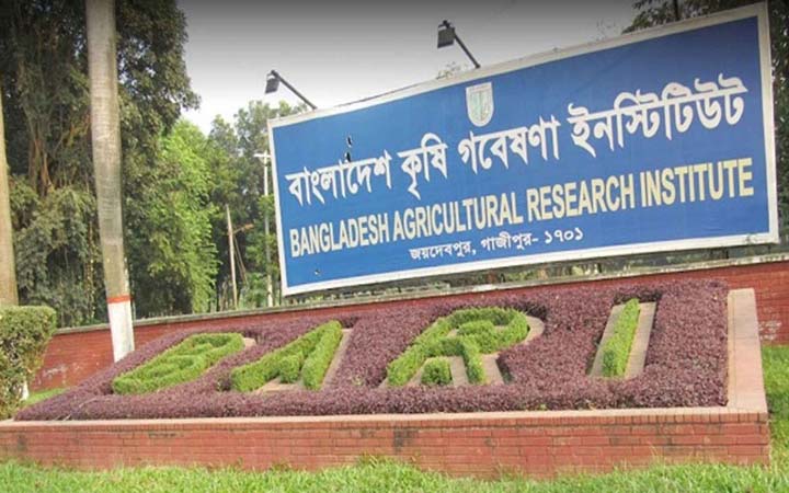 কৃষি গবেষণা ইনস্টিটিউটে ১৯৮ জনের চাকরি