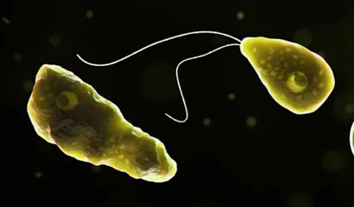 কেরালায় মস্তিষ্কখেকো অ্যামিবার সংক্রমণে ১৯ জনের মৃত্যু