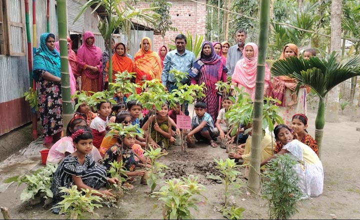 লালমনিরহাটে বৃক্ষরোপণ কর্মসূচির উদ্বোধন