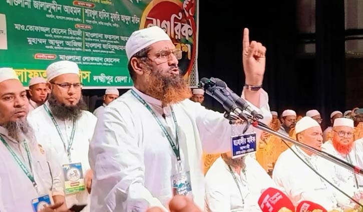 বিএনপিকে শেখ হাসিনার ভূতে ধরেছে: মামুনুল হক