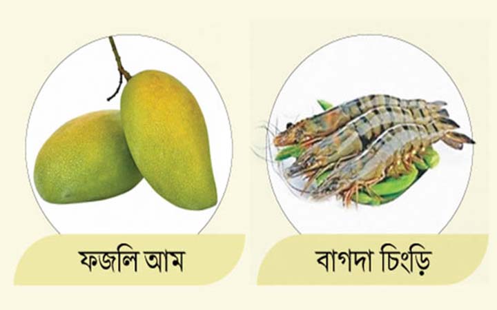 আন্তর্জাতিক স্বীকৃতি পাচ্ছে ফজলি আম ও বাগদা চিংড়ি