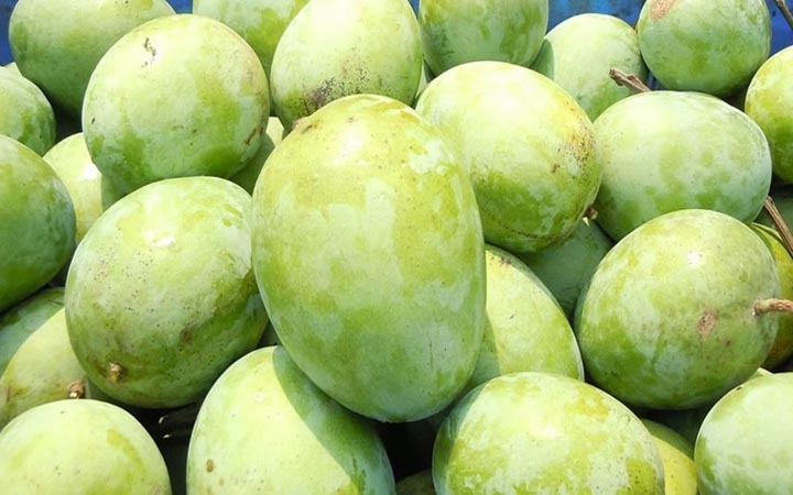 মালয়েশিয়ার বাজারে বাংলাদেশের আমের দ্বার খুলছে
