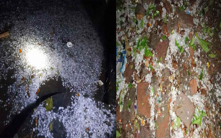 নাটোরে প্রচুর শিলাবৃষ্টি, আমসহ ফসলের ক্ষতির আশঙ্কা