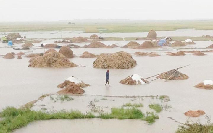 নবীগঞ্জে অতিবৃষ্টিতে হাওড়ে তলিয়ে গেছে পাকা ফসল