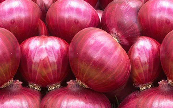 ১৫ মার্চ থেকে দেশে আসছে ভারতের পেঁয়াজ