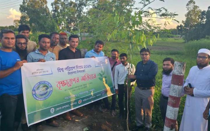 বিশ্ব পরিবেশ দিবসে পঞ্চগড়ে বৃক্ষরোপণ কর্মসূচি